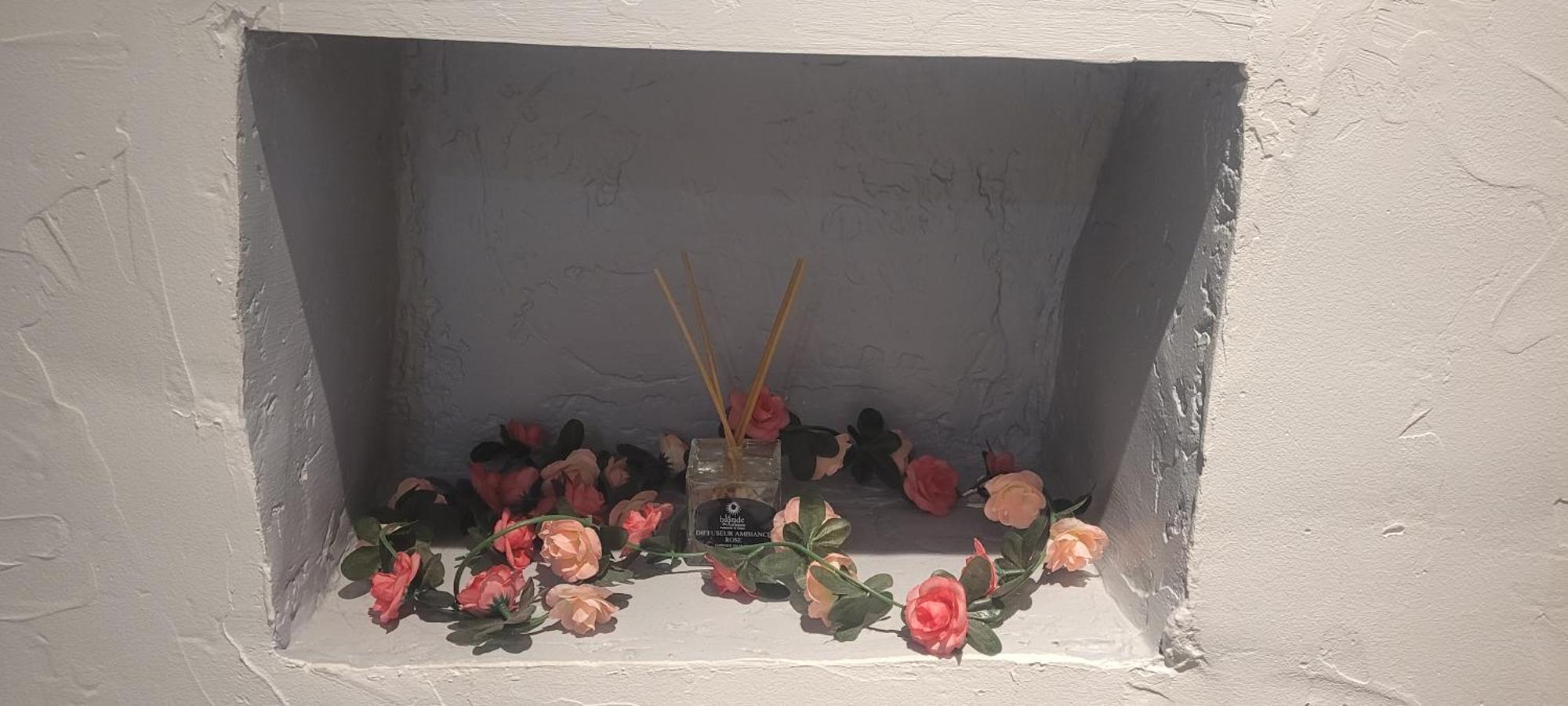 Appartamento Parfum Rose Grasse Esterno foto